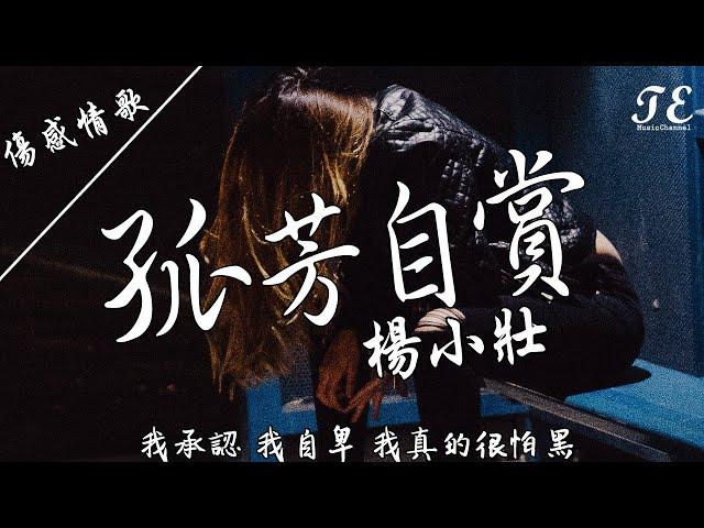 孤芳自賞的影片MV