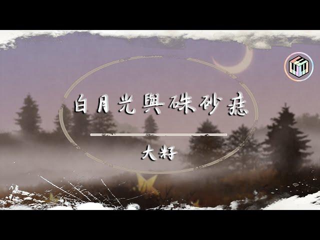 白月光與硃砂痣的影片MV