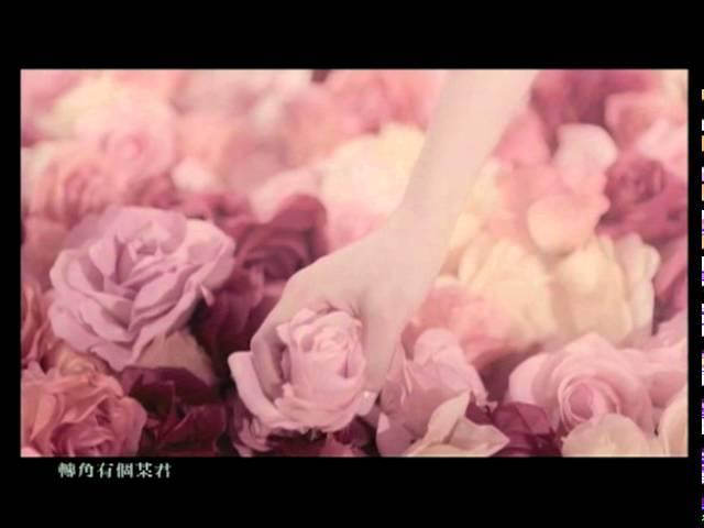 花千樹的影片MV