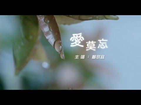 愛莫忘的影片MV